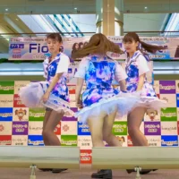 京都flavor「キューティーハニー」愛踊祭2017(WEB予選課題曲)2部 @いこらも～る泉佐野